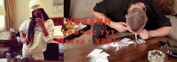 mdpv Богородицк