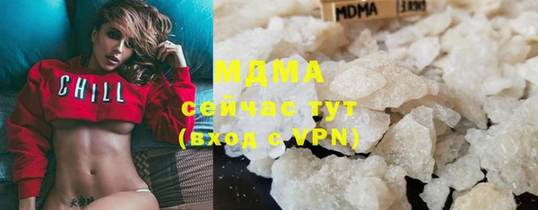 индика Богородск