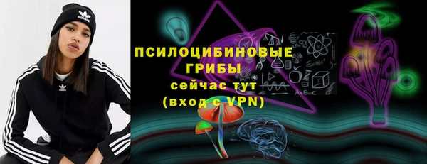 индика Богородск