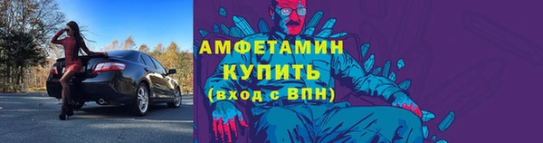 индика Богородск