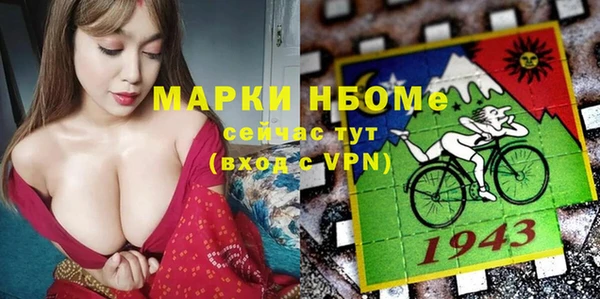индика Богородск