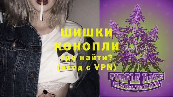 mdpv Богородицк