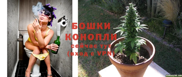 индика Богородск