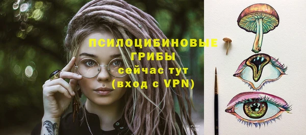 индика Богородск