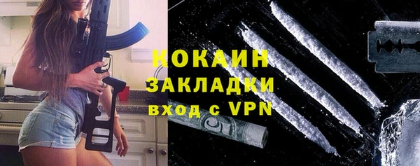 mdpv Богородицк