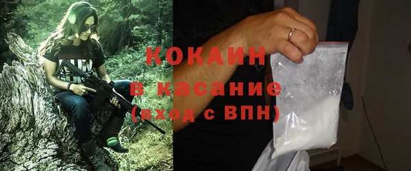 индика Богородск