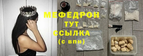 индика Богородск