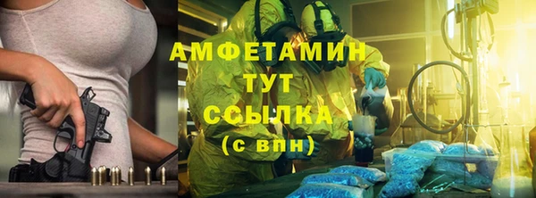 индика Богородск
