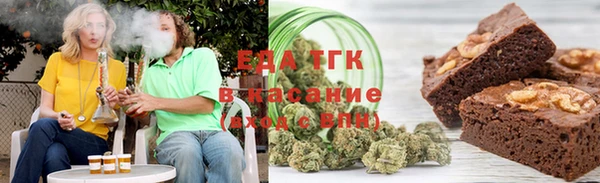 индика Богородск